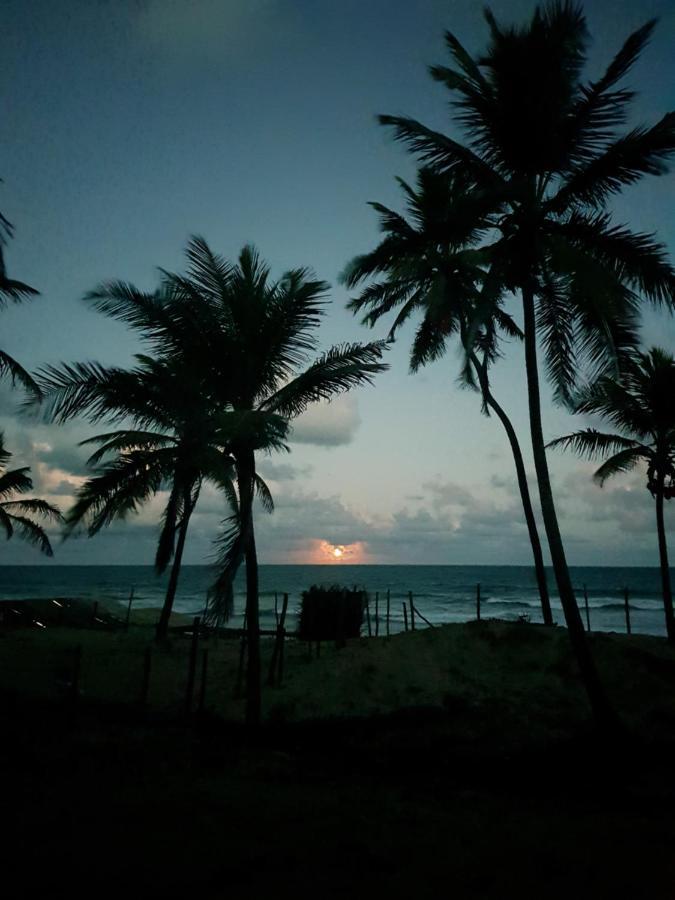 Rosagash Paradise - Praia De Santo Antonio Mata de Sao Joao Exterior photo